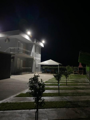 Guest Hours Kolaj